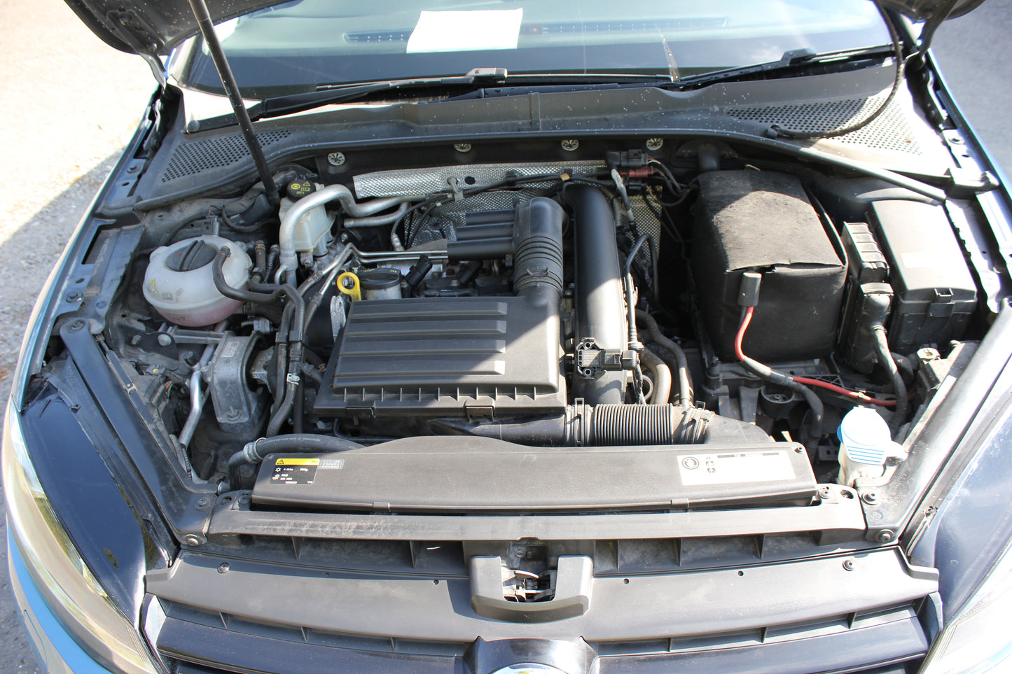 Volkswagen Golf - Blue